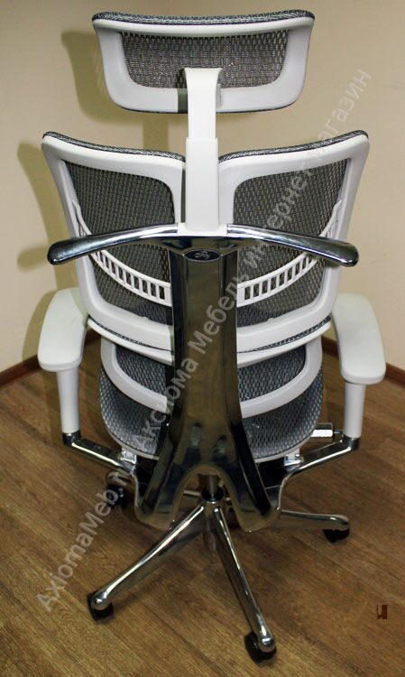 Купить кресло Expert Fly (FL-01) для руководителя, ортопедическое, цвет ...